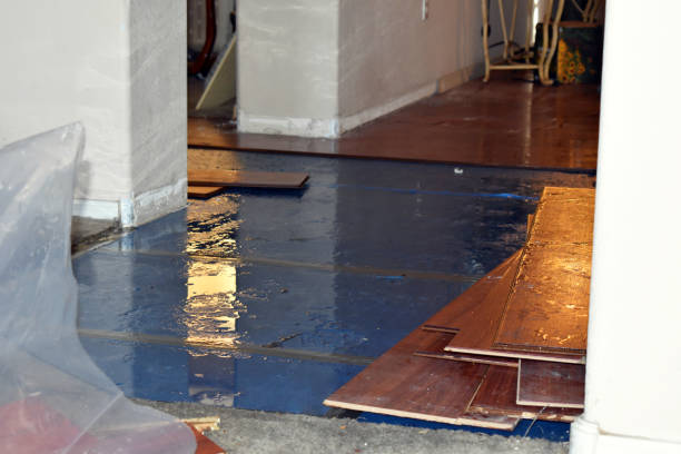 Professional Burst Pipe Cleanup technician working in Valleyford, WA